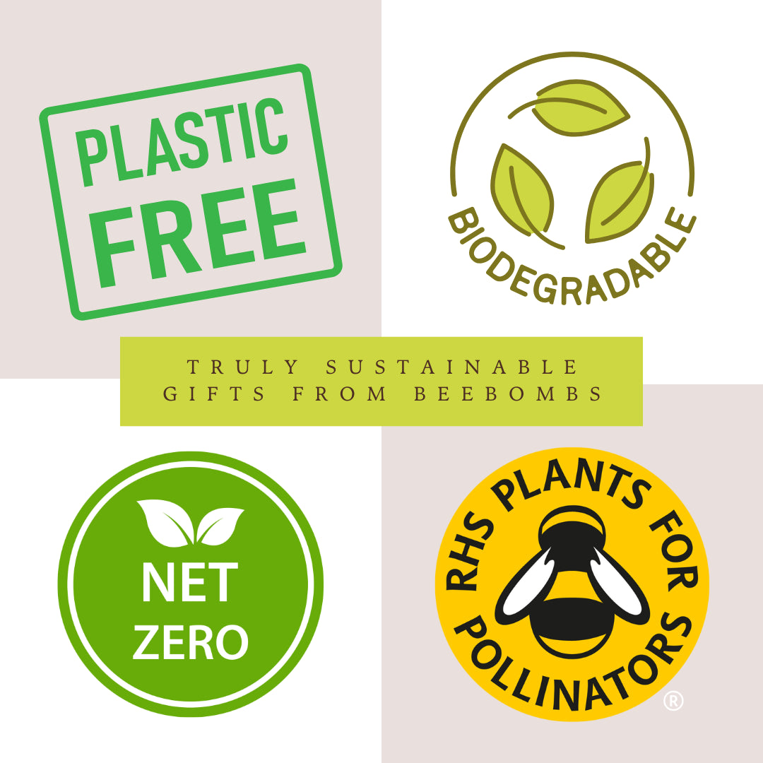 Beebomb UK Wildflower Seedballs