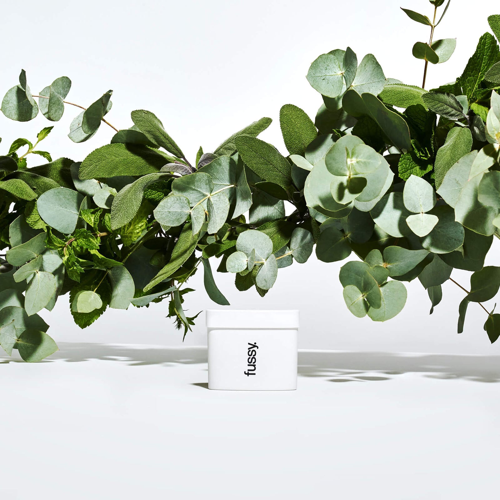 Fussy Deodorant Refill 40g