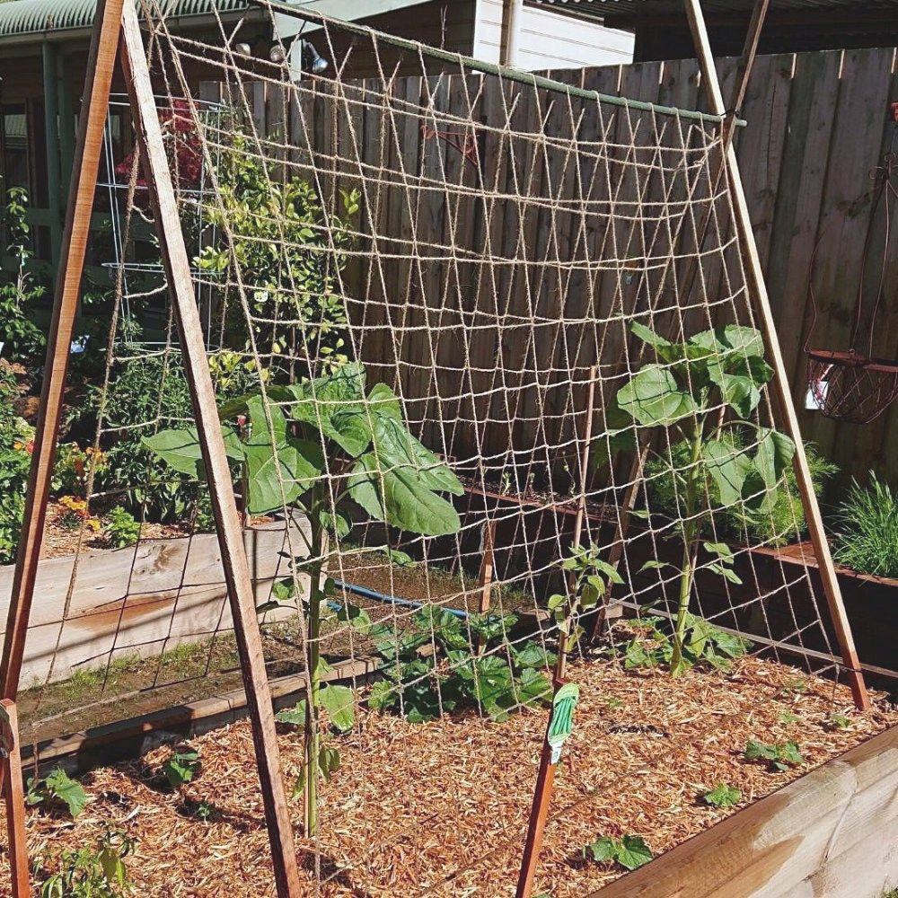 Jute Pea and Bean Netting, Home Compostable