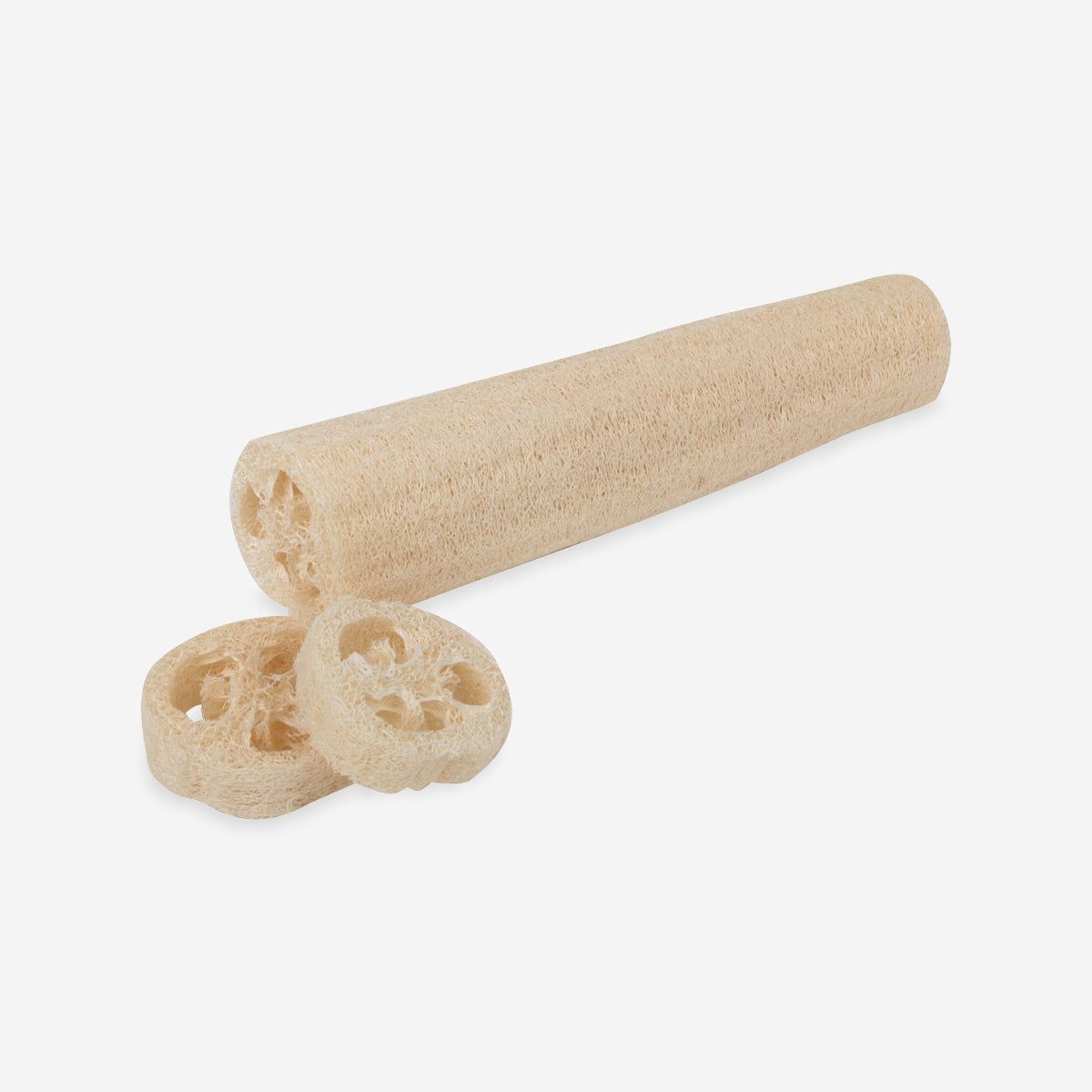 Loofah Cucumber