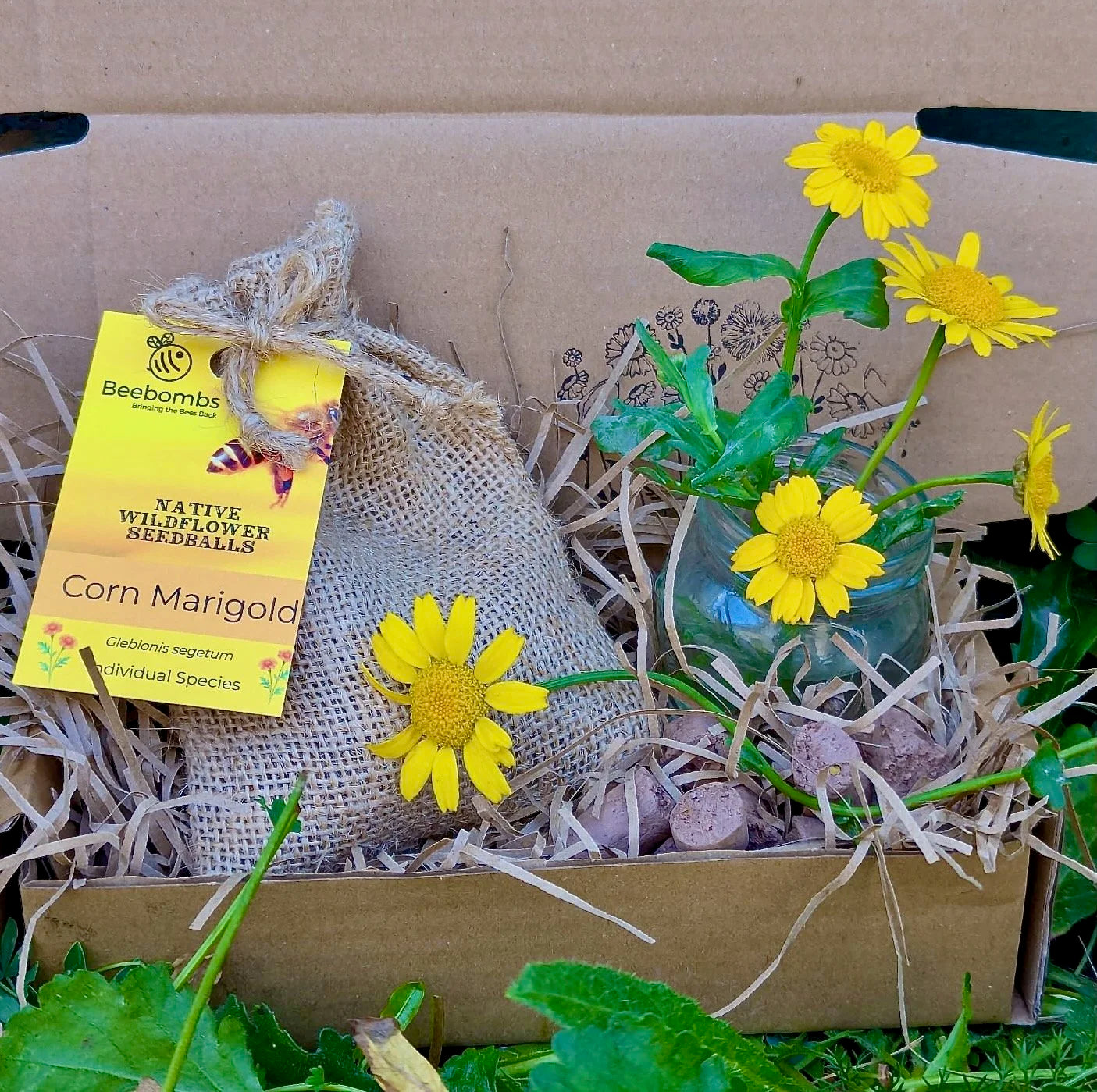 Beebomb UK Wildflower Seedballs