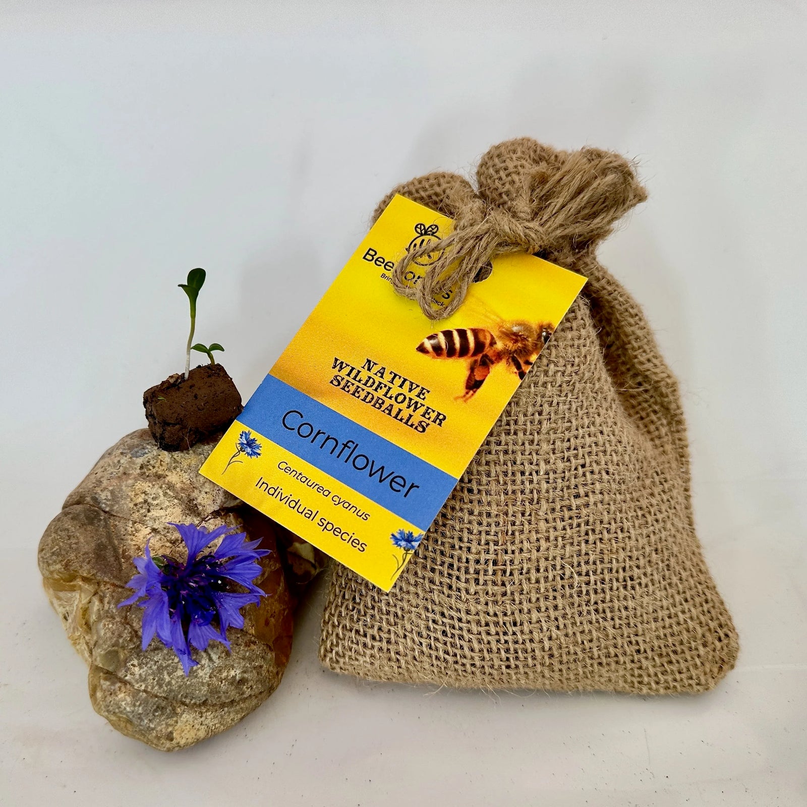 Beebomb UK Wildflower Seedballs