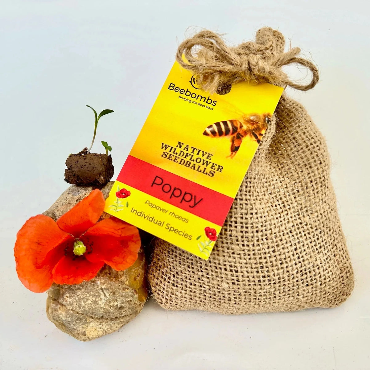 Beebomb UK Wildflower Seedballs