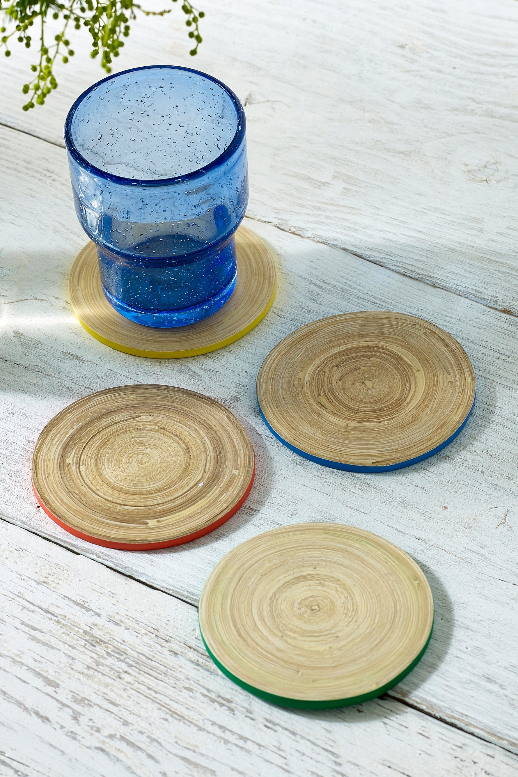 Bamboo Rainbow Coasters