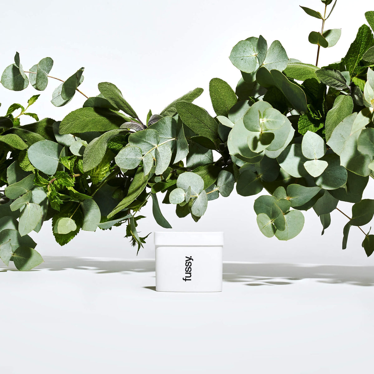 Fussy Deodorant Refill 40g