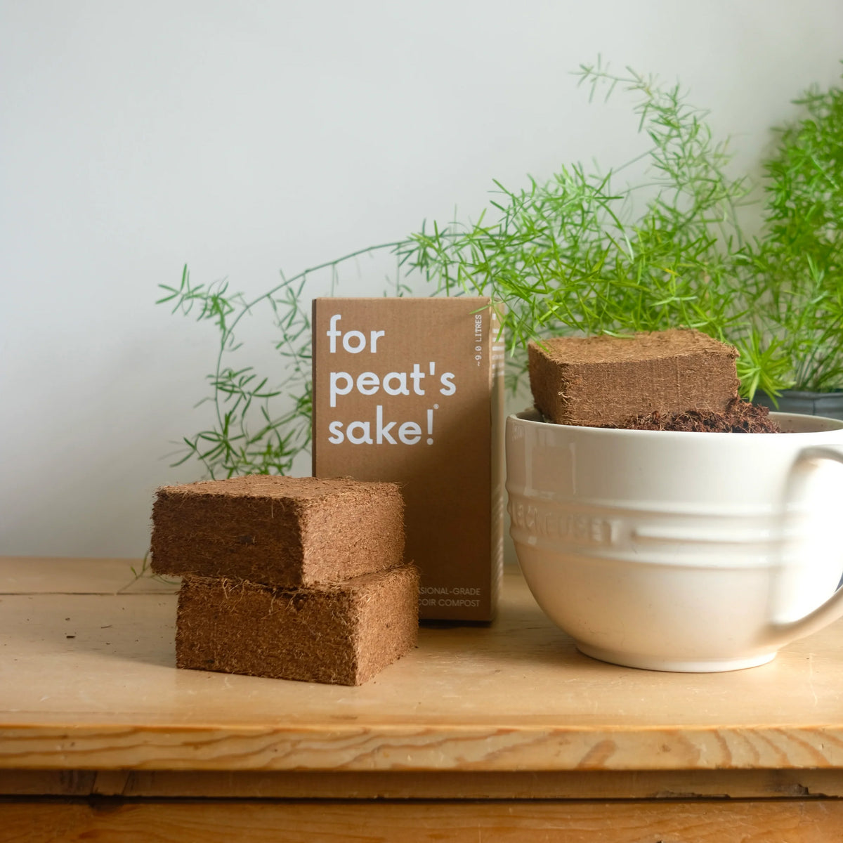 Coir Peat-free Compost