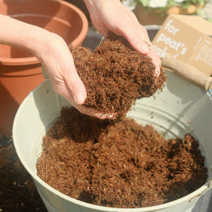 Coir Peat-free Compost