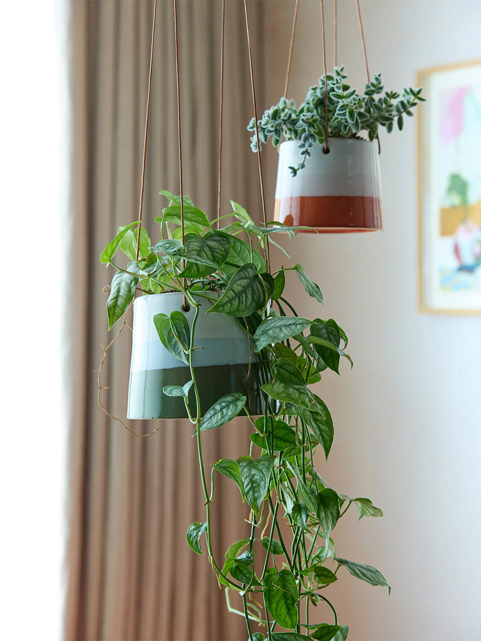 Collectors Hanging Plant Pot