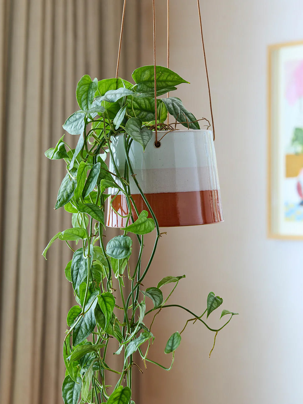Collectors Hanging Plant Pot