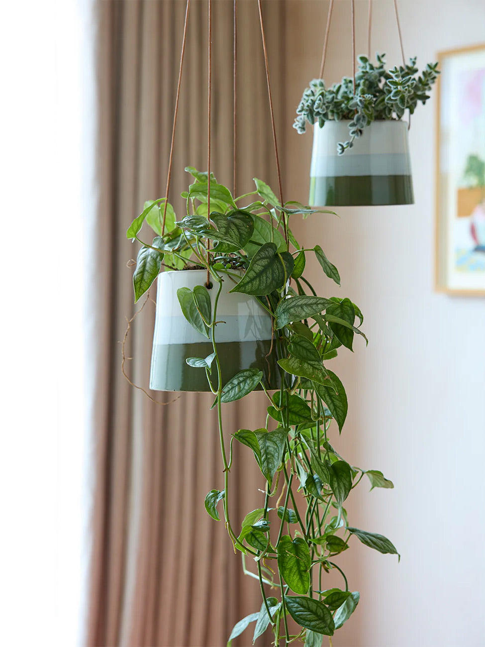 Collectors Hanging Plant Pot