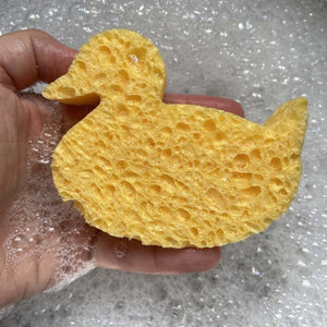 Compostable Duck Sponge