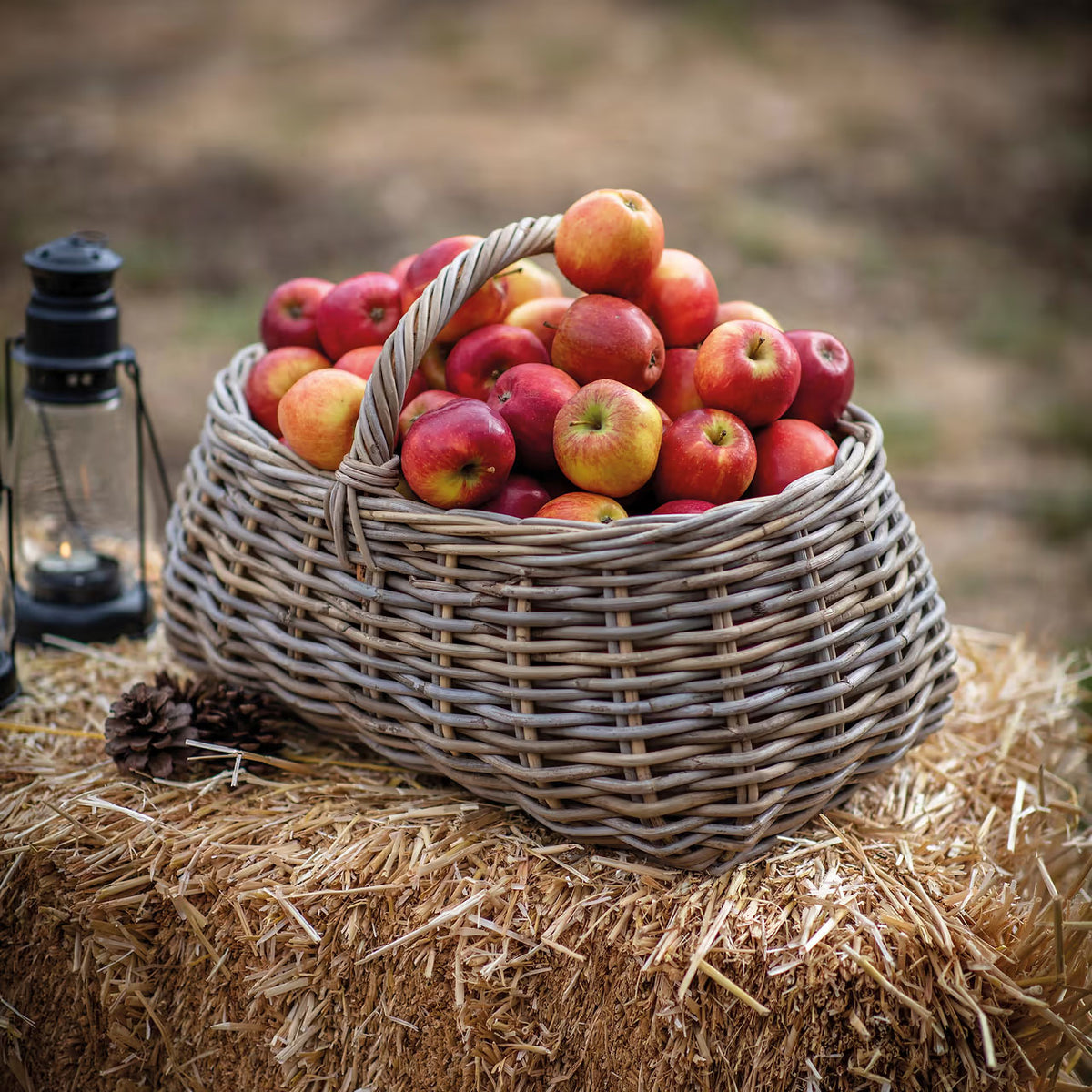 Bembridge Rattan Forage Basket