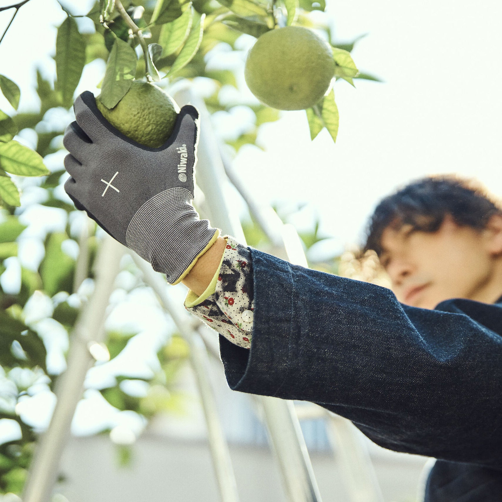 Niwaki Gardening Gloves