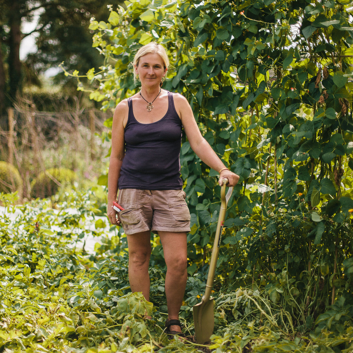 Niwaki Golden Spade, Standard