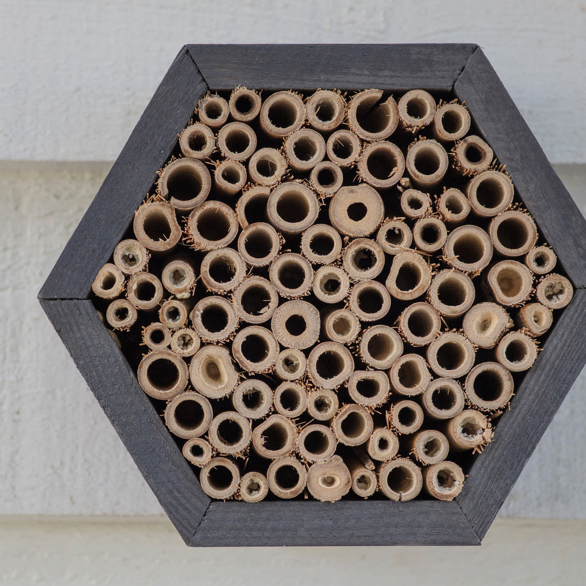 Wooden Insect Hotel