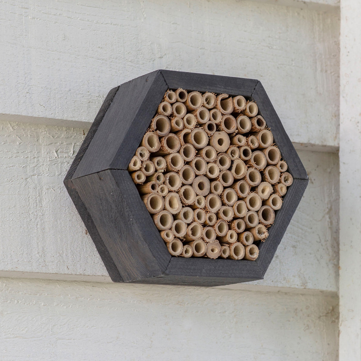 Wooden Insect Hotel