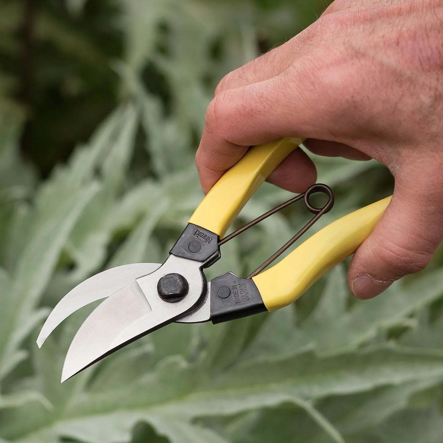 Niwaki Mainichi Pruning Secateurs