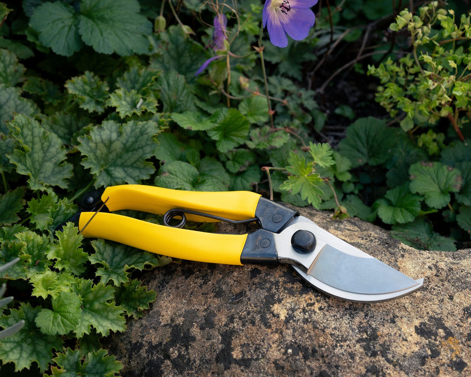 Niwaki Mainichi Small Pruning Secateurs