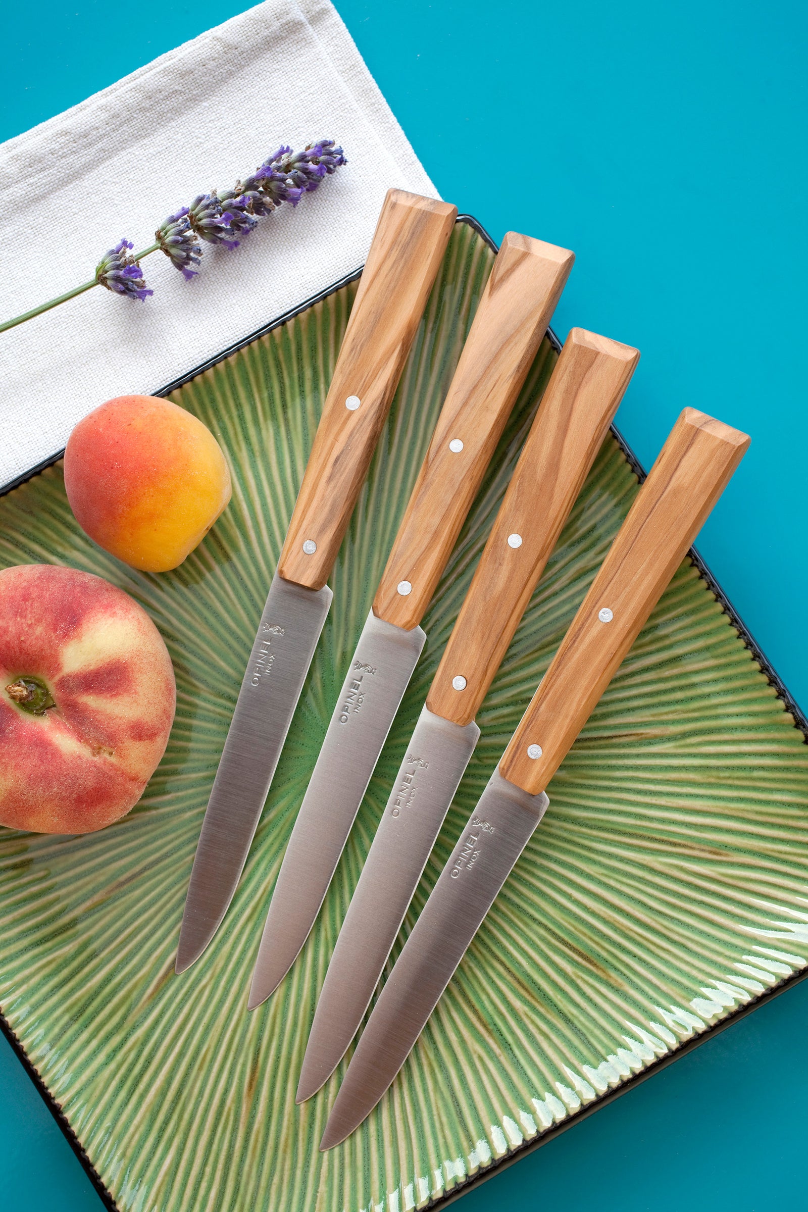 Set 4 Opinel Steak Knives