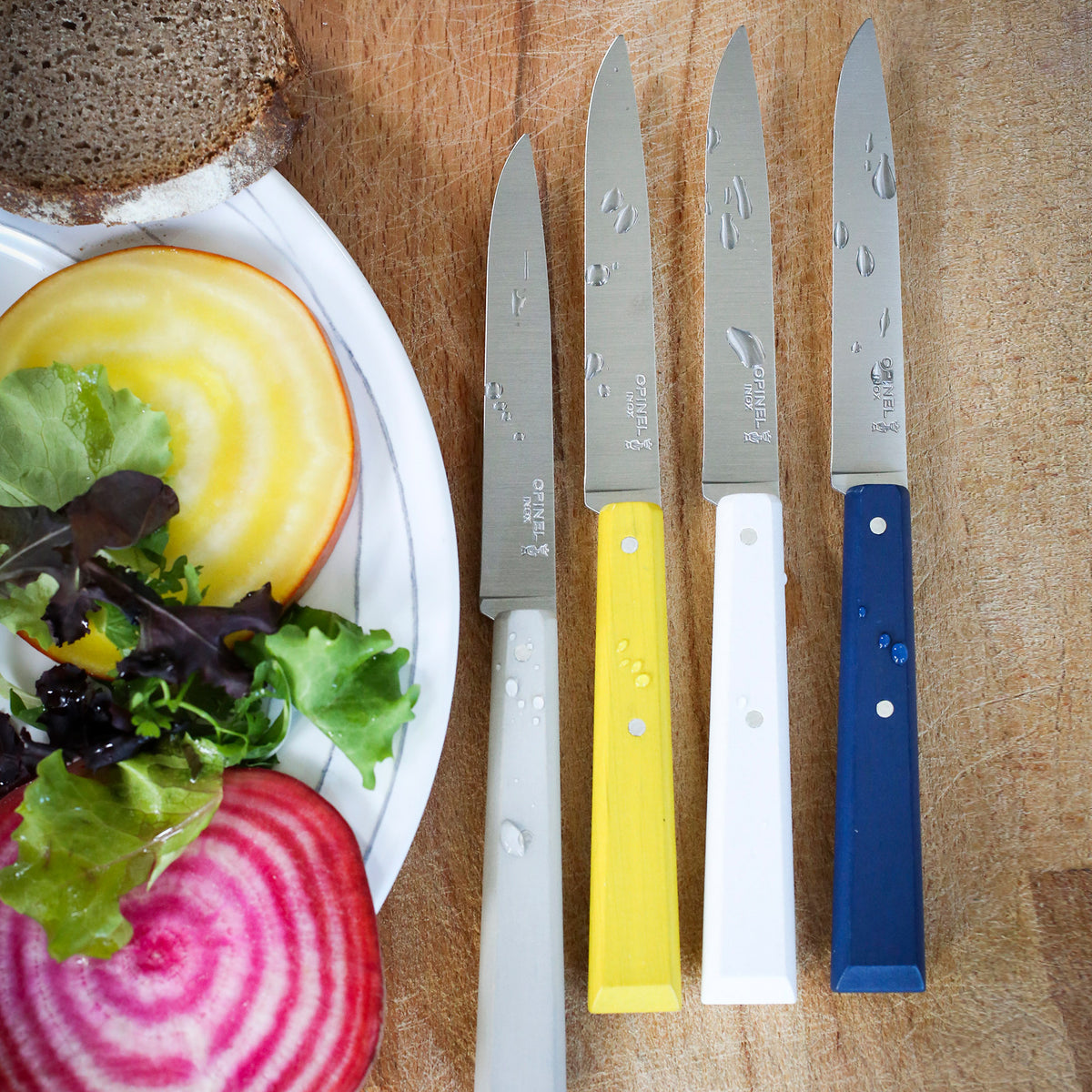 Set 4 Opinel Steak Knives