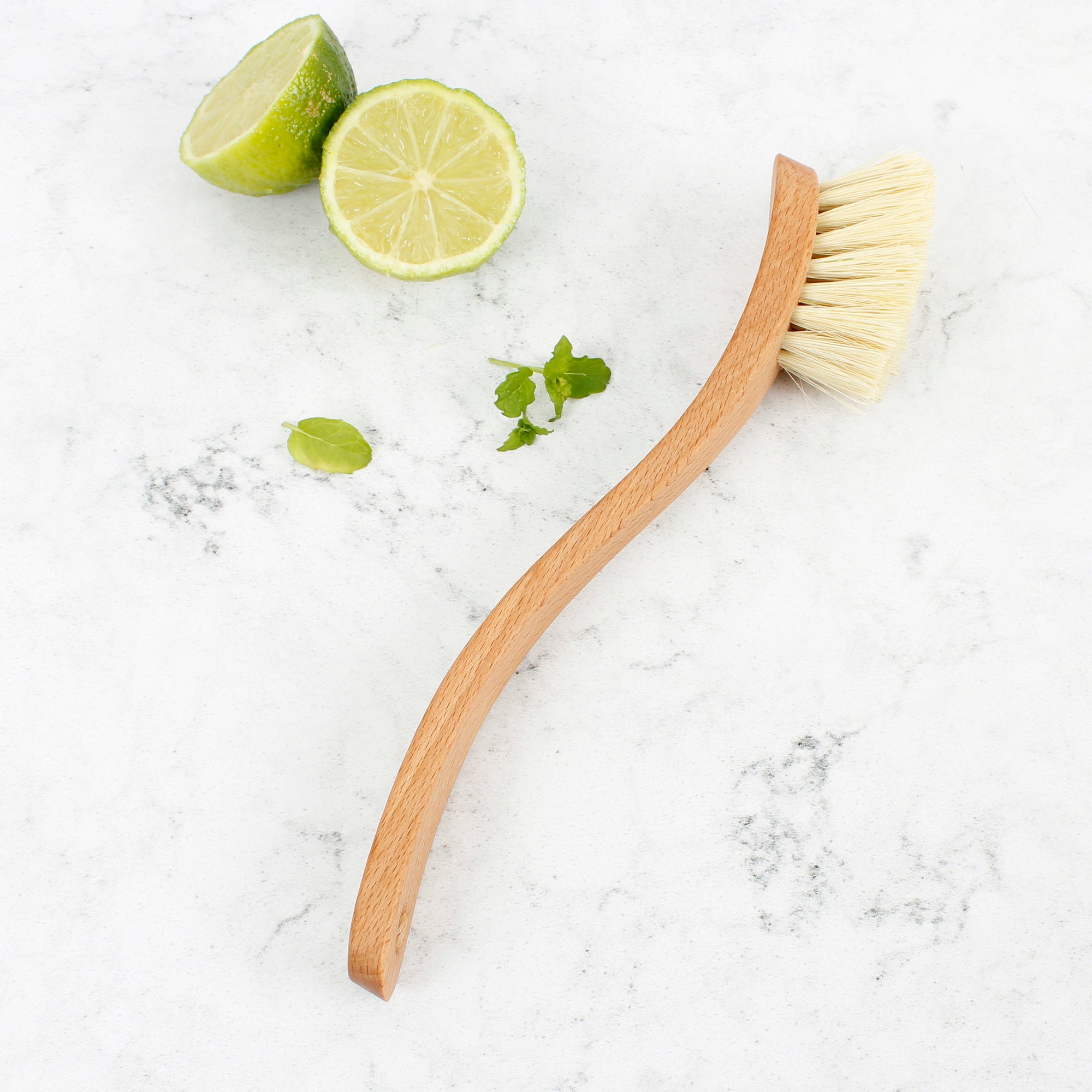 Fixed Wooden Dish Brush