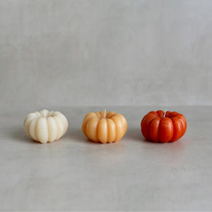 Pumpkin Candles (Recycled Wax)