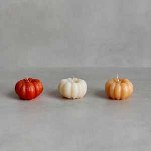 Pumpkin Candles (Recycled Wax)