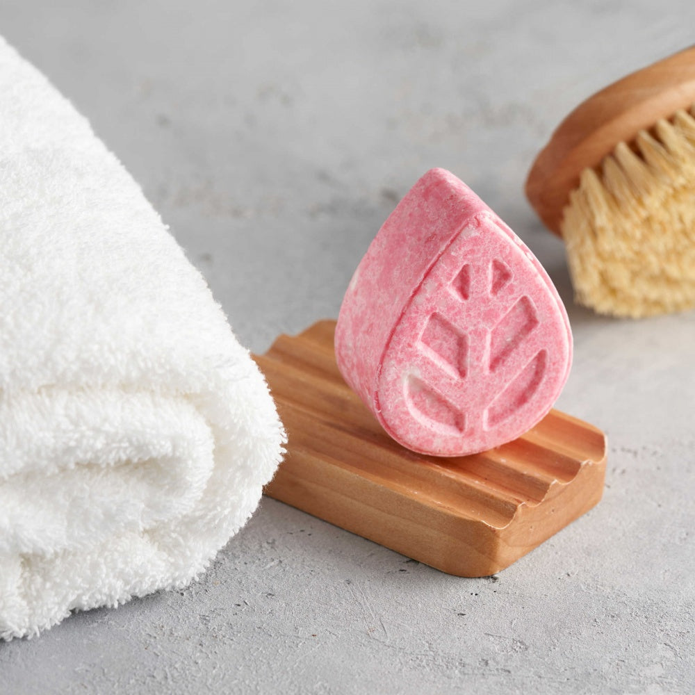 EcoLiving Solid Shampoo Bar