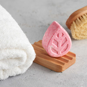 EcoLiving Solid Shampoo Bar