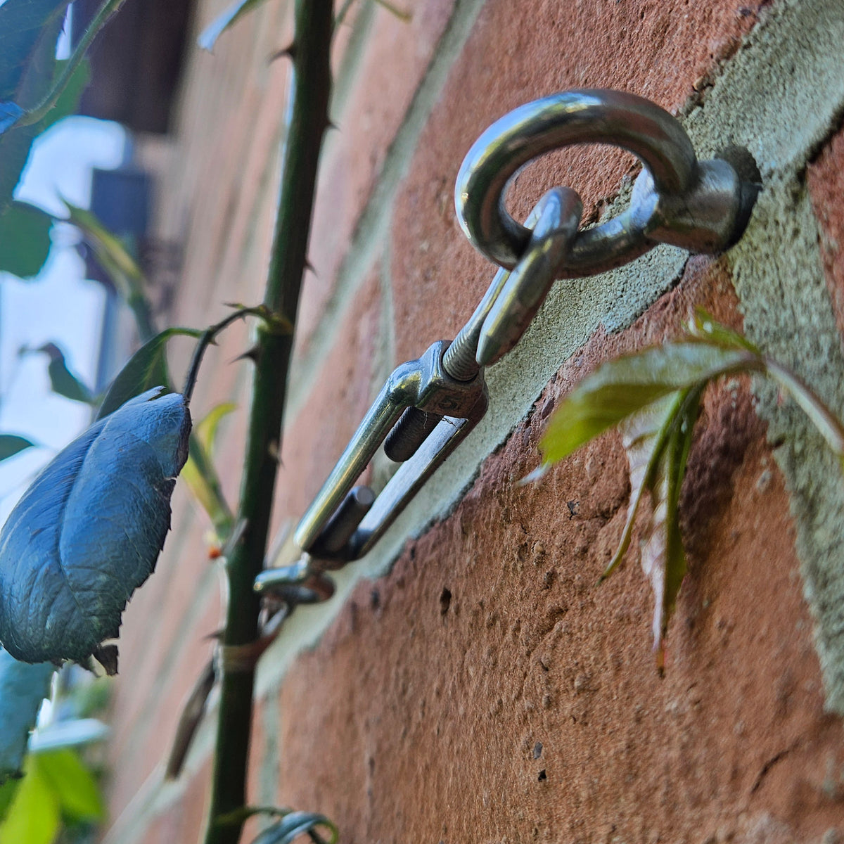 Wire Rope Trellis System