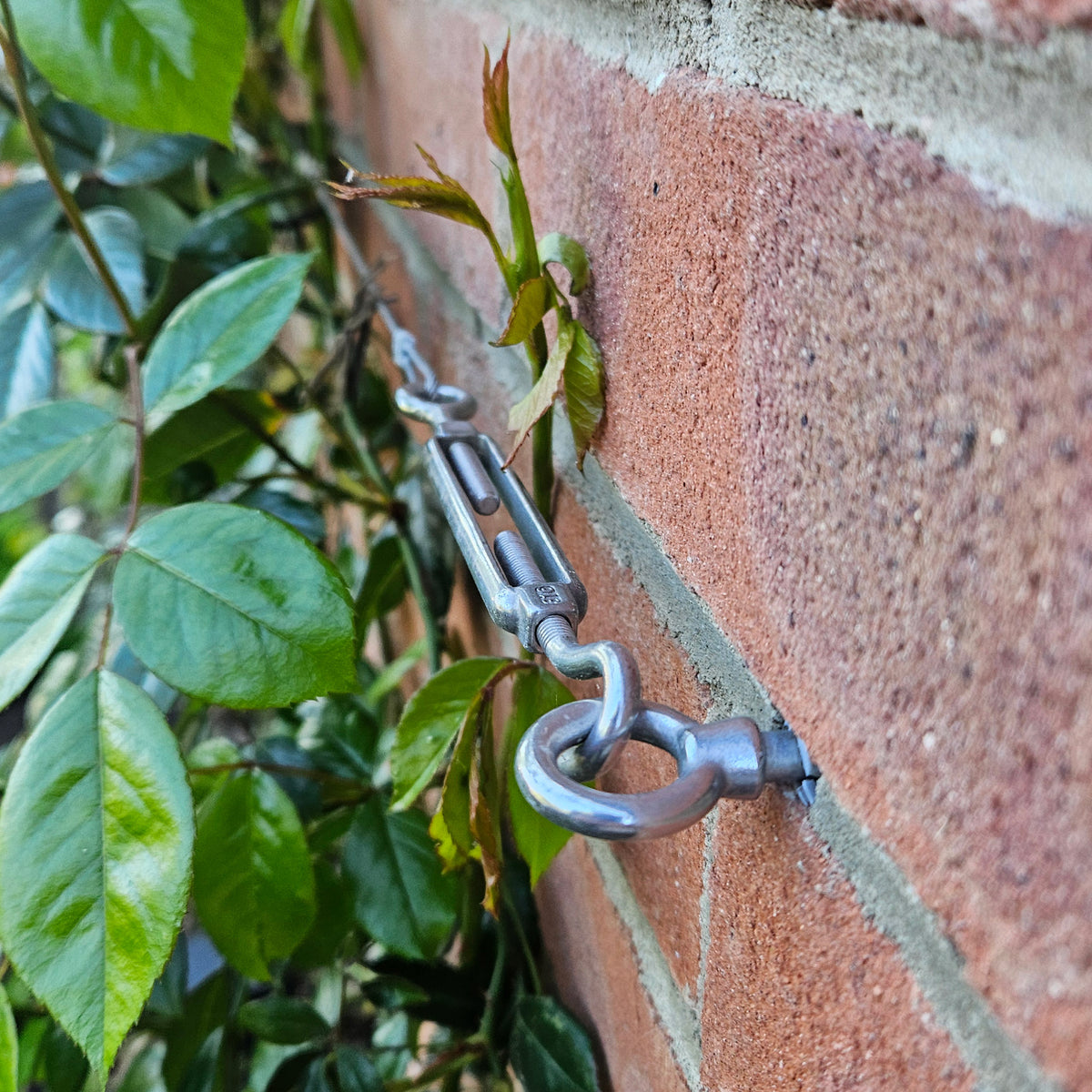 Wire Rope Trellis System