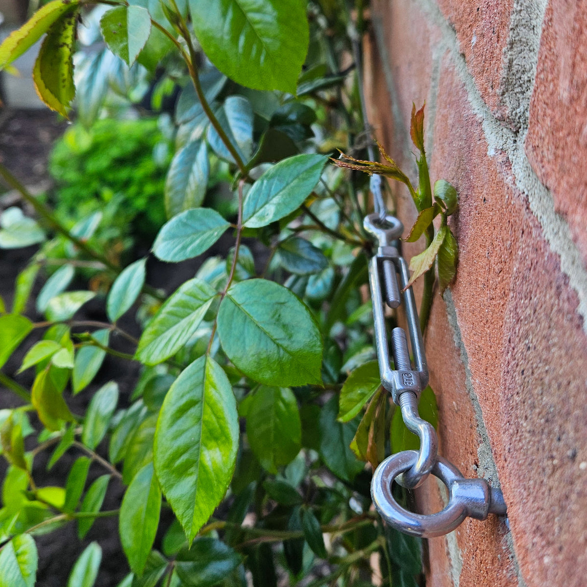 Wire Rope Trellis System
