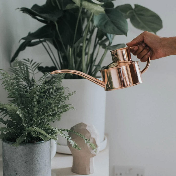 Fazeley Flow Copper Indoor Watering Cans