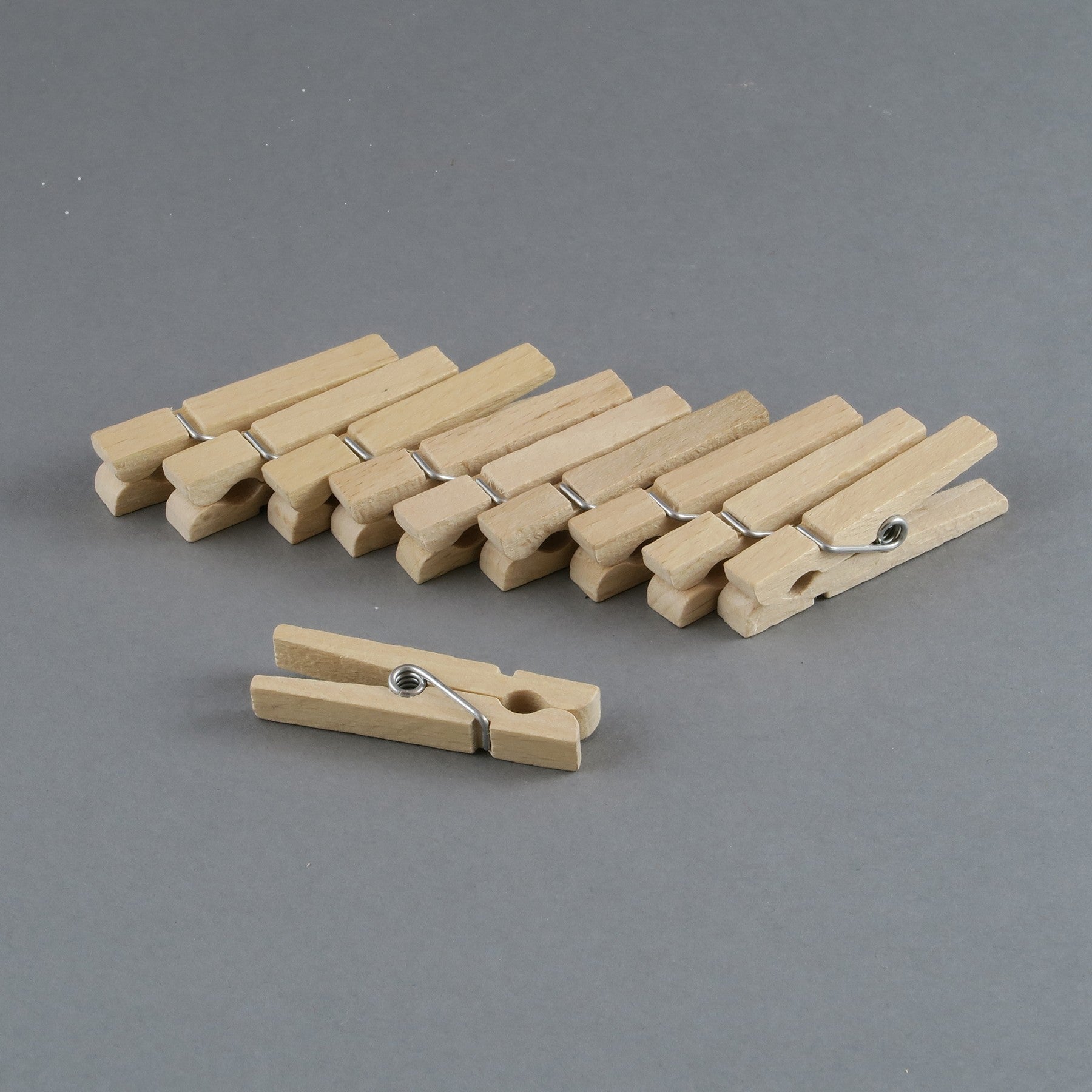 Craft Wooden Spring Pegs