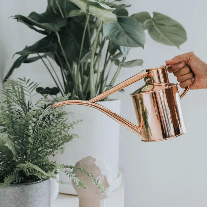 Fazeley Flow Copper Indoor Watering Cans