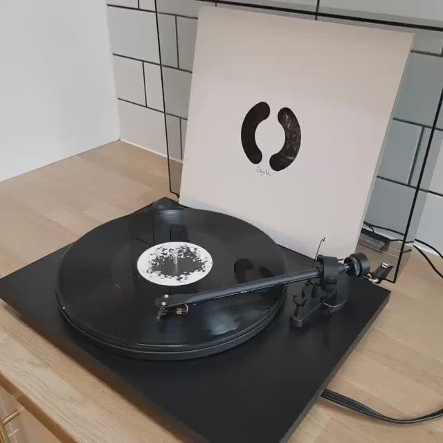 Vinyl Record Dusting Brush