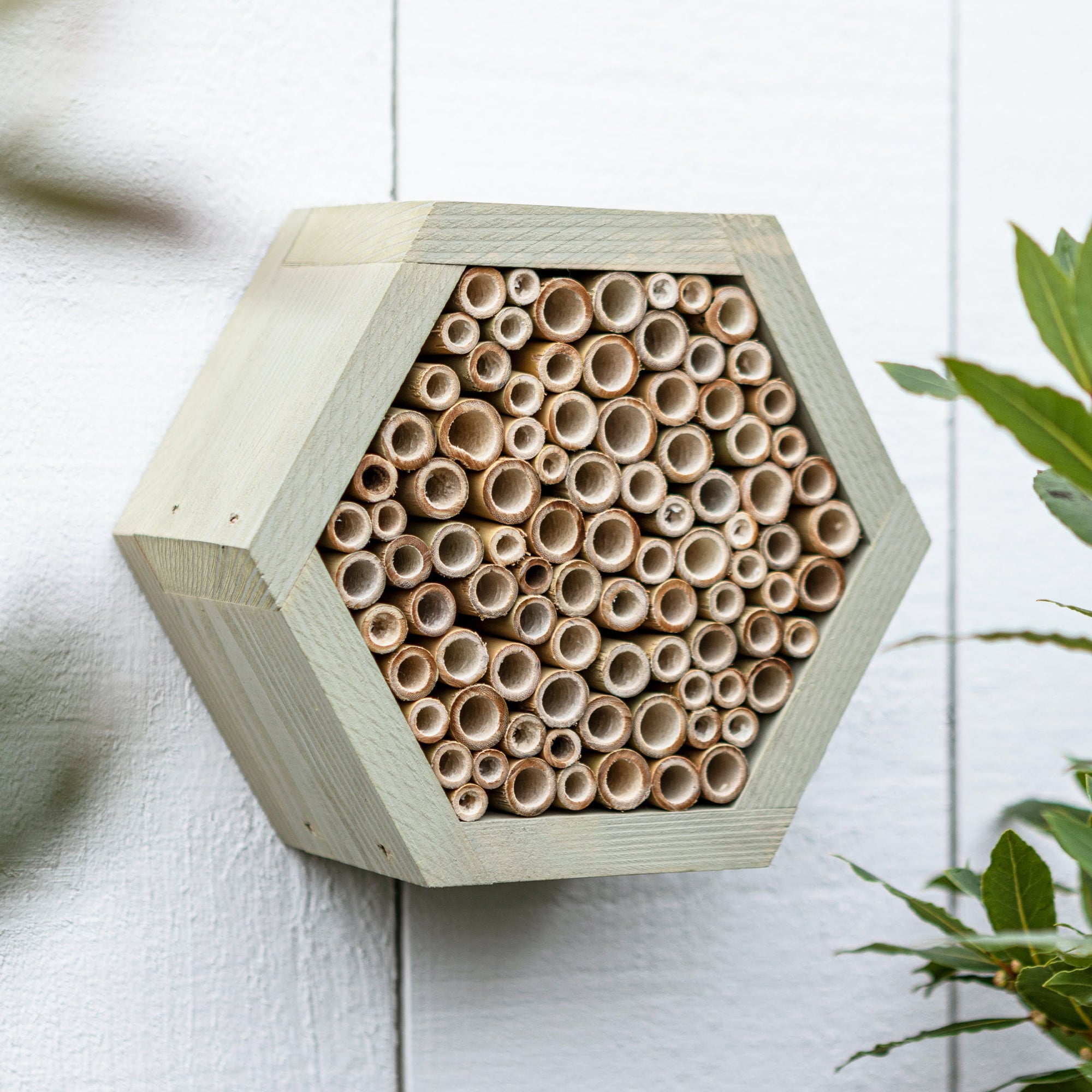 Wooden Insect Hotel