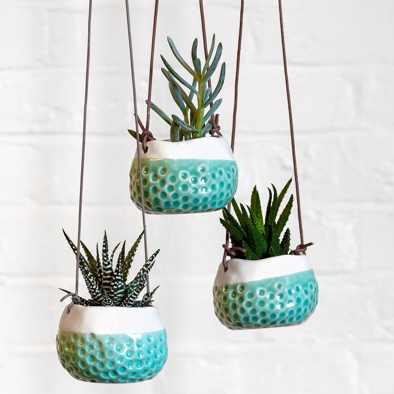 Baby Dotty Mini Indoor Hanging Plant Pot