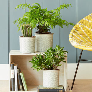 Porto -inspired Indoor Plant Pots