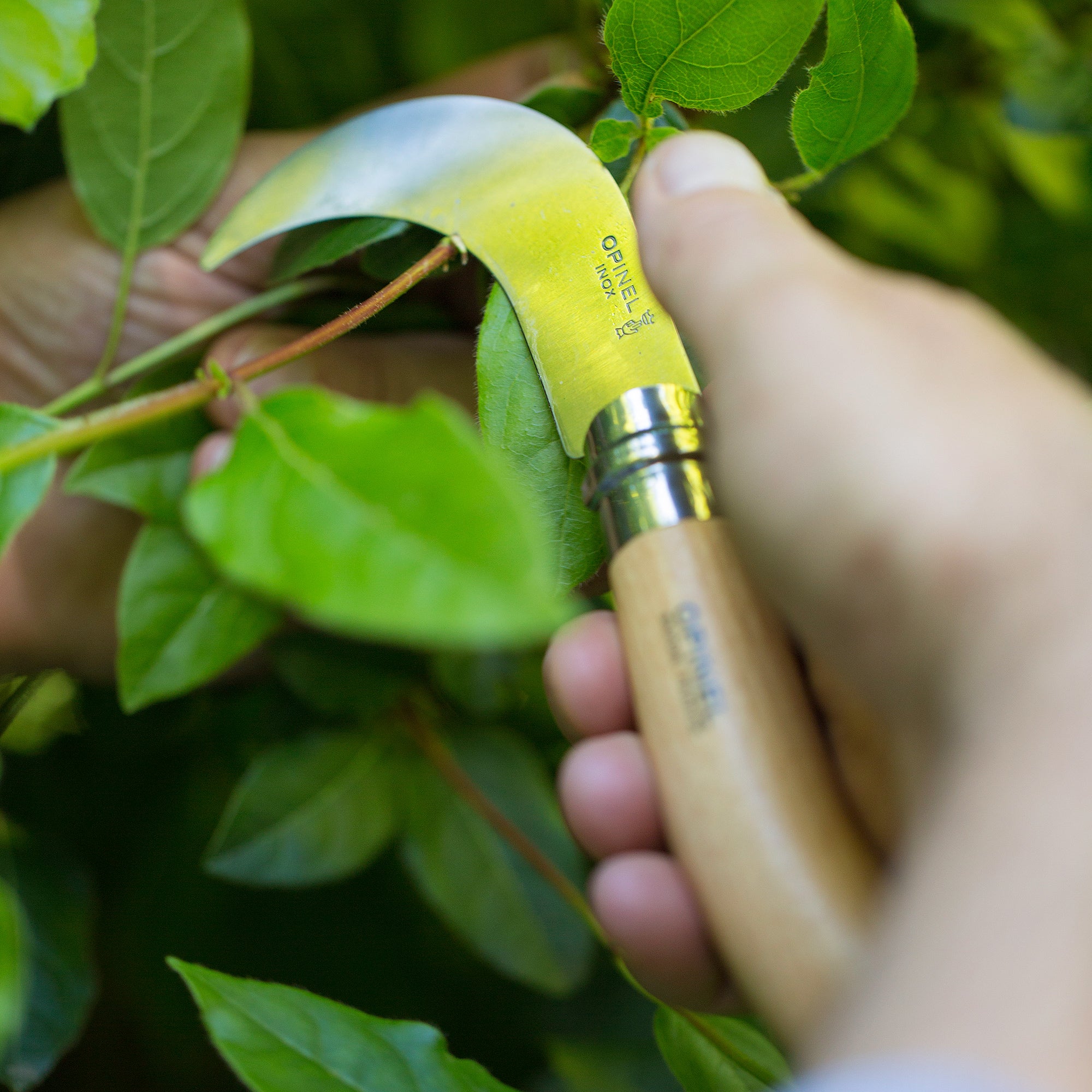 Opinel Pruning Knife