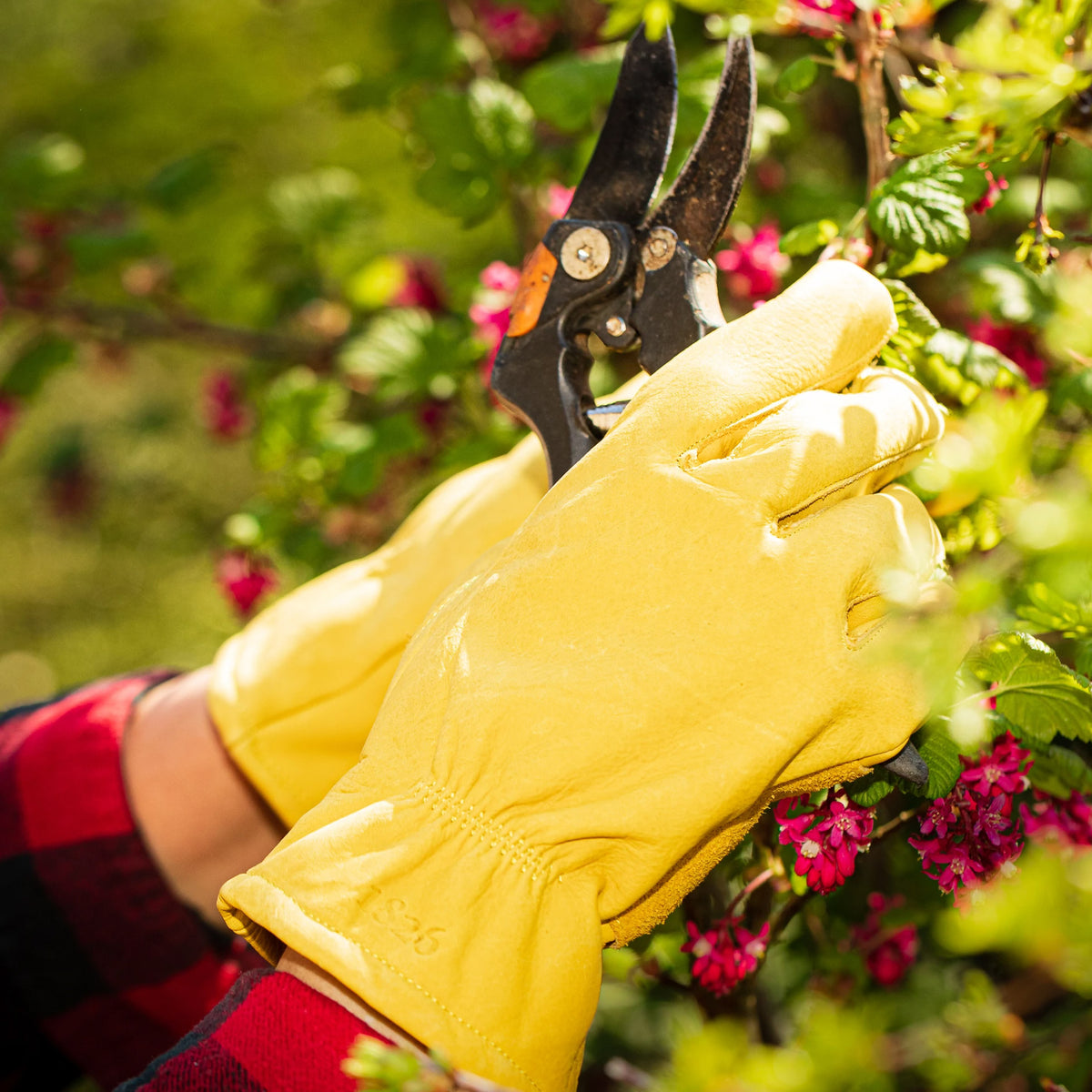 Premium All Purpose Leather Garden Gloves