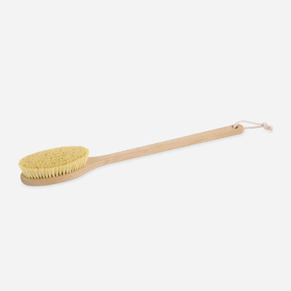 Fixed Bath &amp; Back Brush