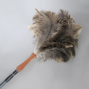 Large Ostrich Feather Duster & (Optional) Pole