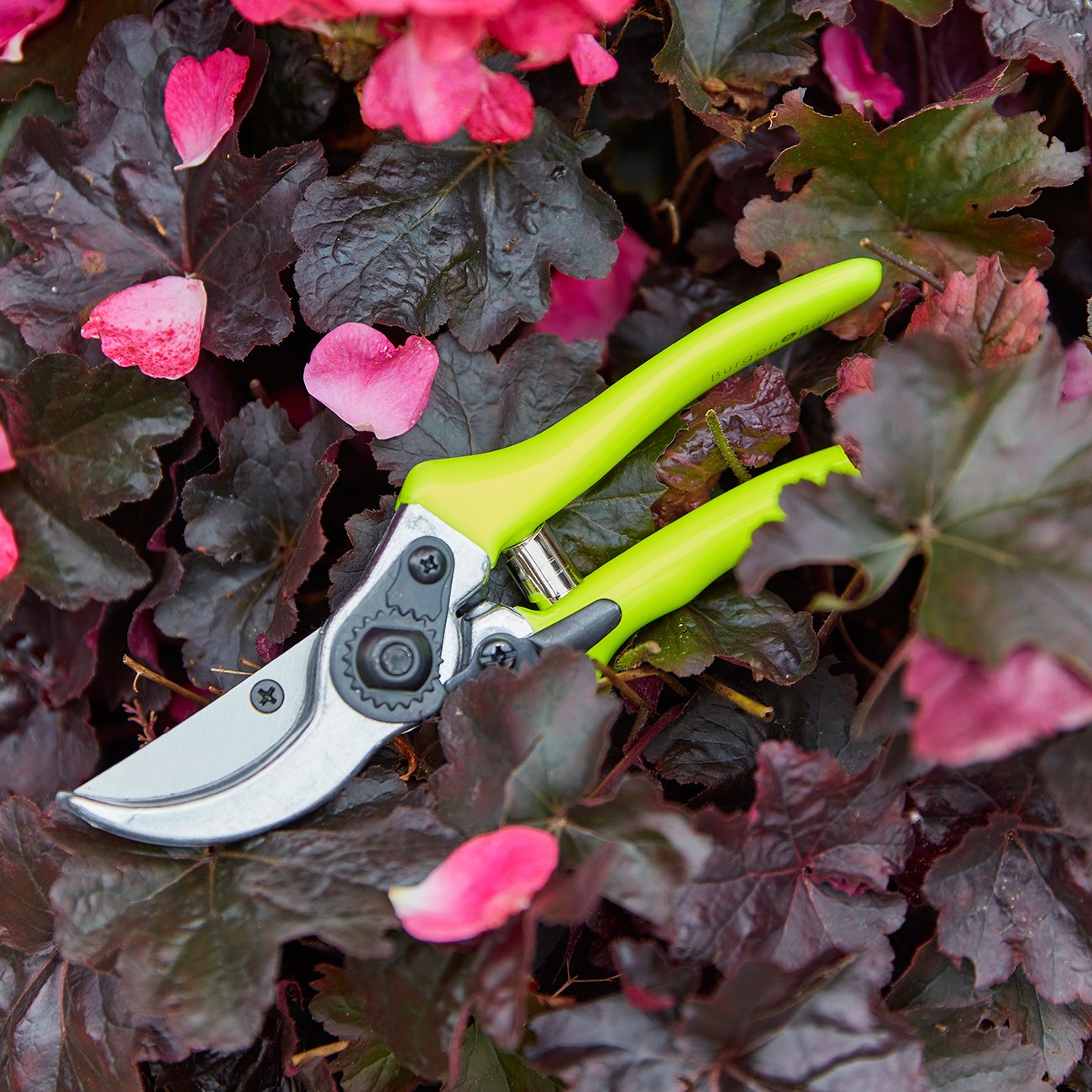 RHS Bright Bypass Secateurs