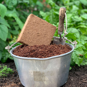 Coir Peat-free Compost