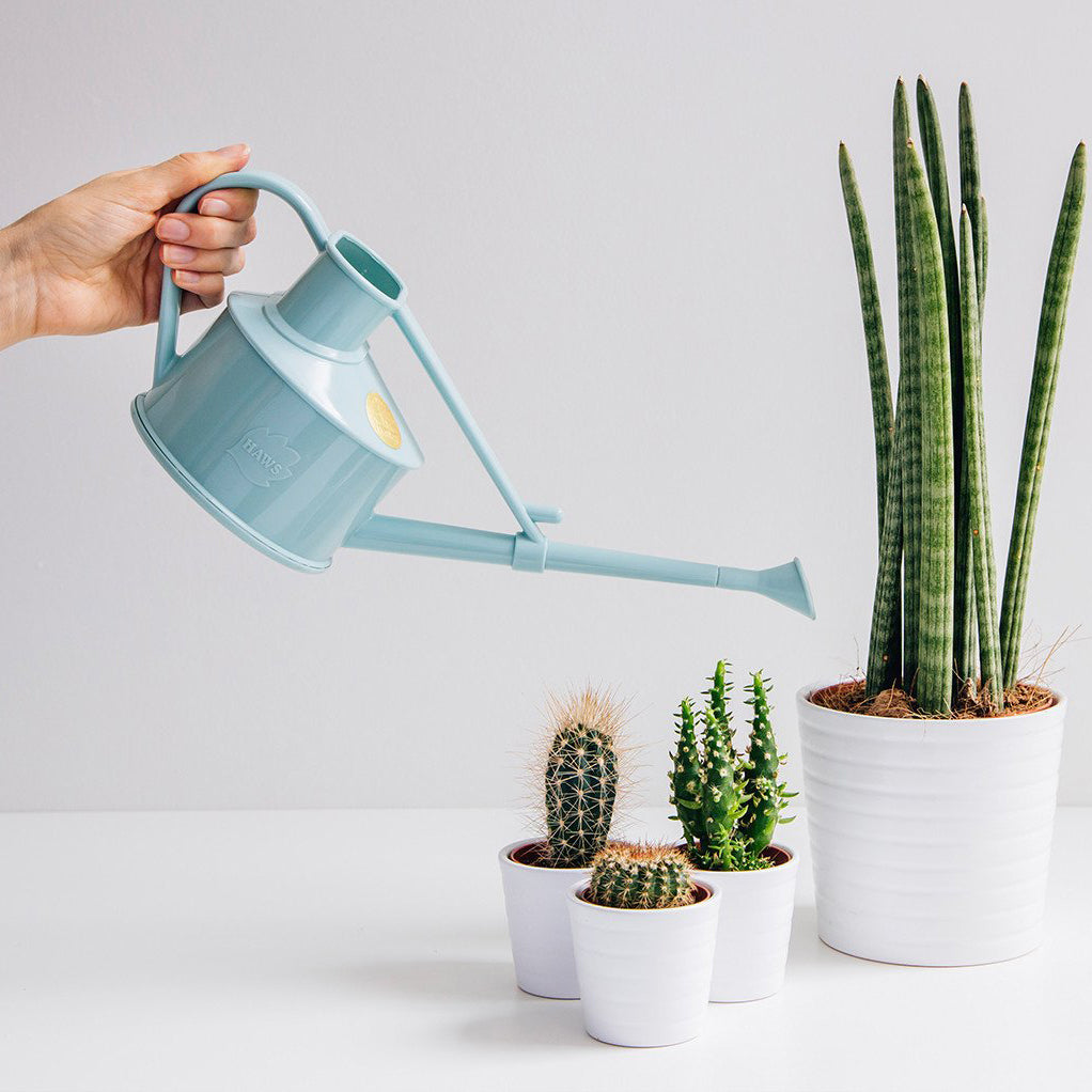 Indoor Watering Can, The Langley Sprinkler