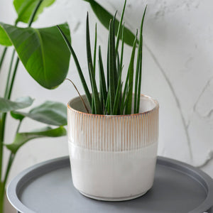 Hillesley Ceramic Indoor Plant Pots