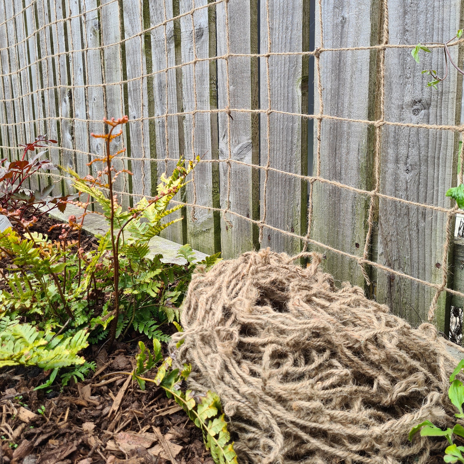 Jute Pea and Bean Netting, Home Compostable