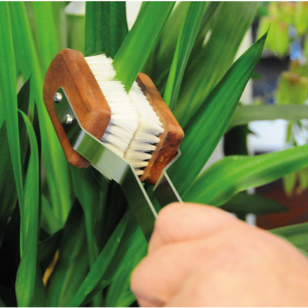 Houseplant Leaf Dusting Brush