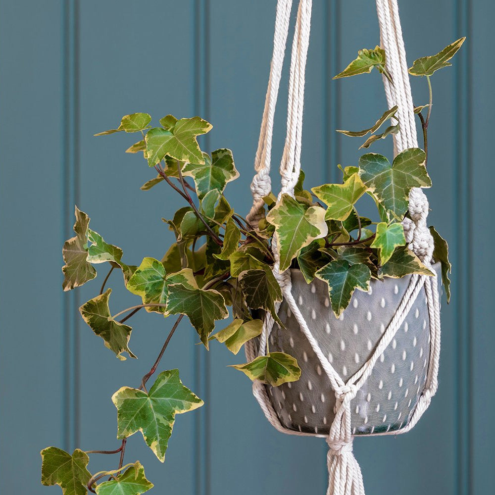 Macrame Indoor Hanging Plant Pot